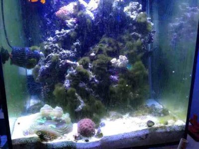 ImageUploadedByTapatalk1360364810.039319.jpg ImageUploadedByTapatalk1360364810.039319.jpg