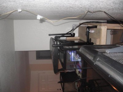 IMG_2116.jpg