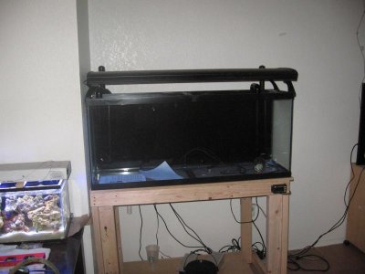 IMG_2121.jpg