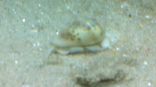 photo.JPG