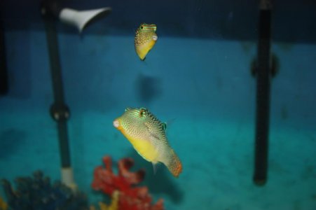 IMG_3808.jpg IMG_3808.jpg
