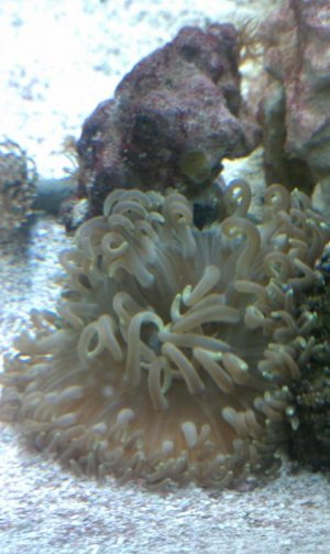 IMAG0081.jpg IMAG0081.jpg