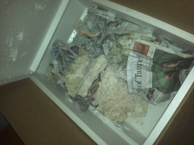 IMG279.jpg IMG279.jpg