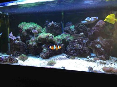 ImageUploadedByTapatalk1358471408.595450.jpg ImageUploadedByTapatalk1358471408.595450.jpg