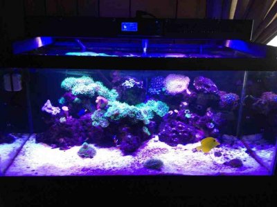 ImageUploadedByTapatalk1358471461.142955.jpg ImageUploadedByTapatalk1358471461.142955.jpg