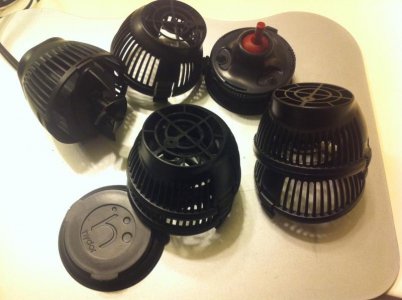 photo5.jpg