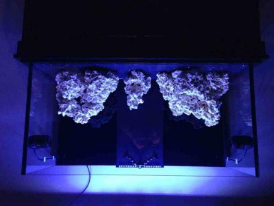 ImageUploadedByTapatalk 21360731513.413433.jpg