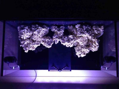 ImageUploadedByTapatalk 21360734957.036402.jpg