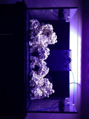 ImageUploadedByTapatalk 21360739085.842849.jpg