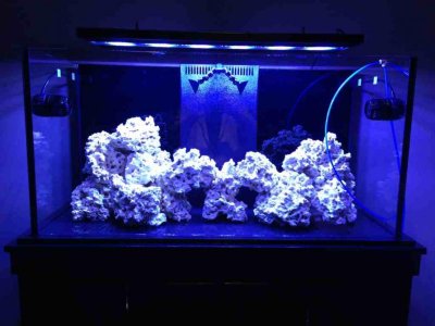 ImageUploadedByTapatalk 21360740767.023043.jpg