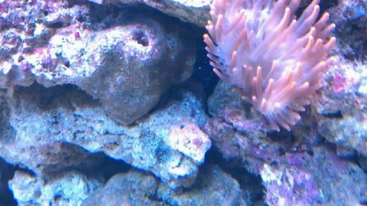 Batch #6 -  Day #2 - 2-12-13.jpg