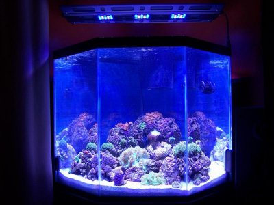 100_1903 (Large).jpg