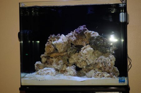 FTS.jpg