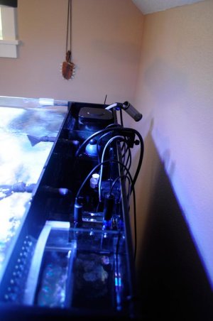 SUMP.jpg