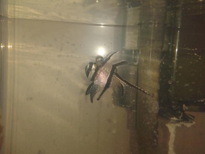 2013-02-03 14.38.25.jpg