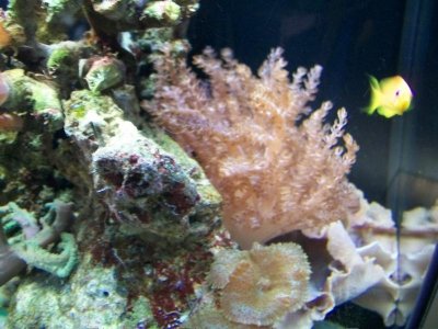 100_5434.jpg