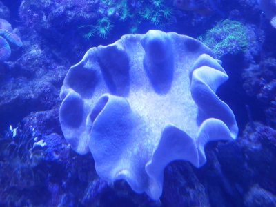 IMG_20130216_210605.jpg