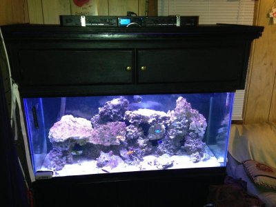 2013-02-19 21.10.30.jpg