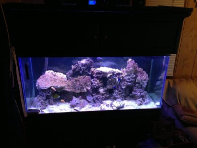 2013-02-19 21.10.35.jpg