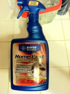bayer 2.jpg
