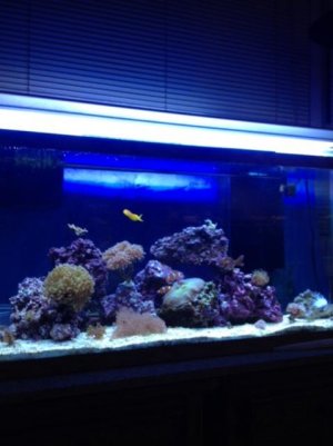 photo(2).jpg