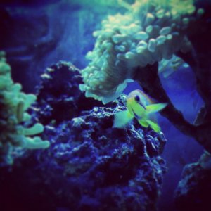 photo(3).jpg