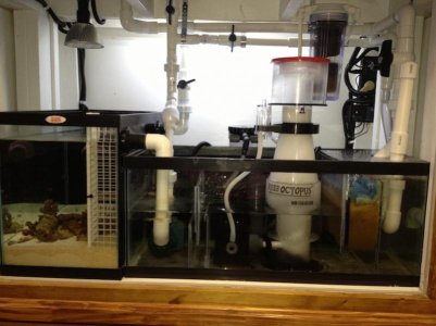 Almost Finised Sump.jpg