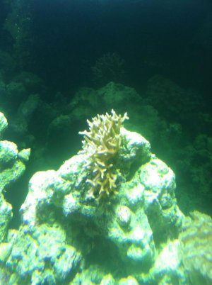 IMG_0439.jpg