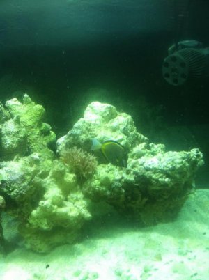 IMG_0407.jpg