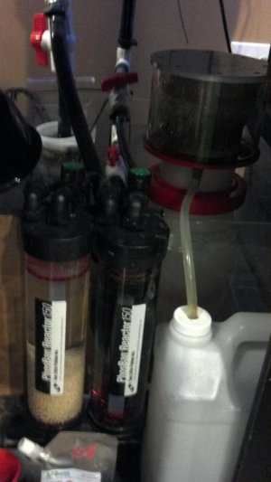 2013-02-18_16-18-19_704.jpg