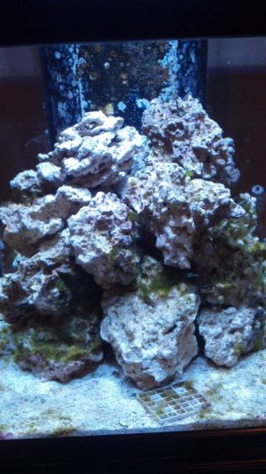 2013-02-18_16-18-03_740.jpg