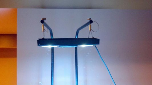 2013-02-18_16-18-57_267.jpg