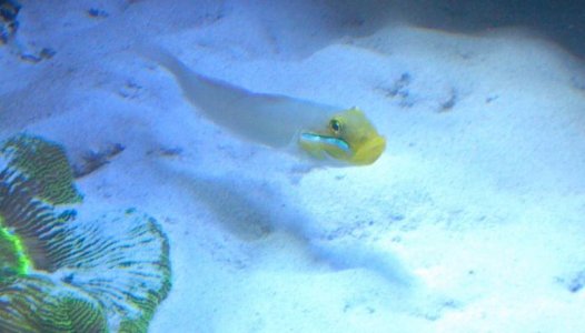 2013-02-22_20-30-59_85.jpg 2013-02-22_20-30-59_85.jpg