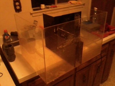 IMG_20130222_210011.jpg