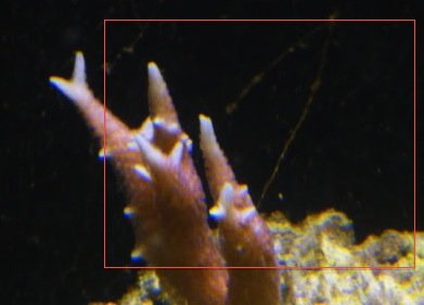 DSCF0218.jpg