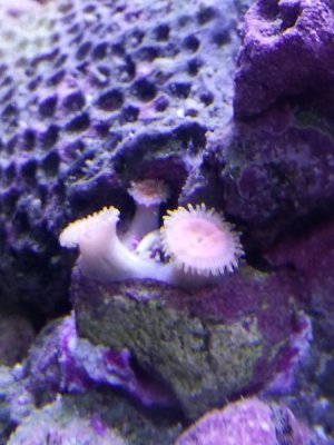 20130224_102347.jpg