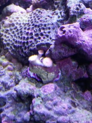 20130224_001309.jpg