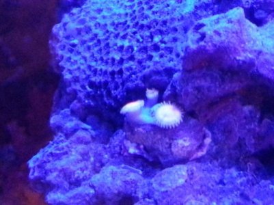 20130224_000937.jpg