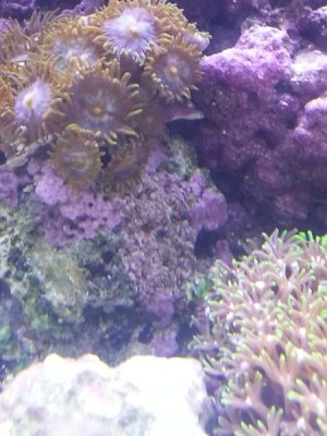 20130224_102148.jpg