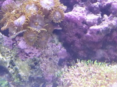 20130224_102313.jpg