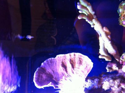 photo-14.jpg