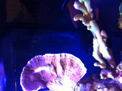 photo-15.jpg
