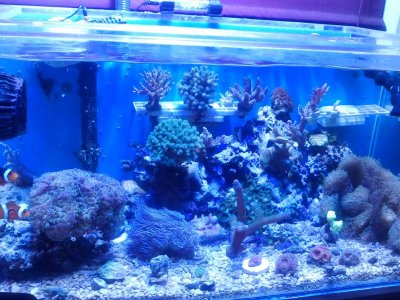 2013-03-14 20.29.36.jpg