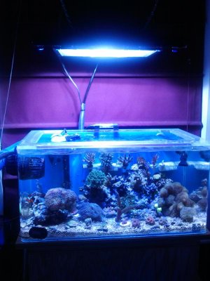 2013-03-14 20.29.04.jpg