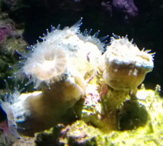 WP_20130315_002.jpg