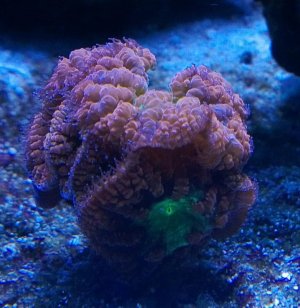WP_20130314_001.jpg