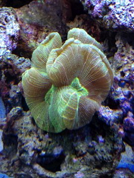 IMG_0031.jpg