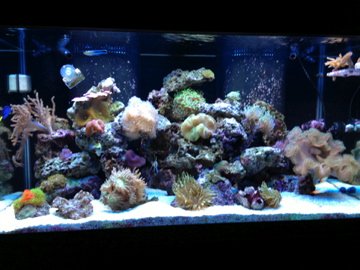 IMG_0039.jpg