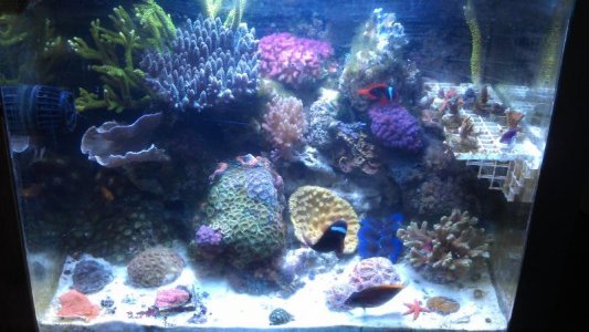 IMAG0458.jpg