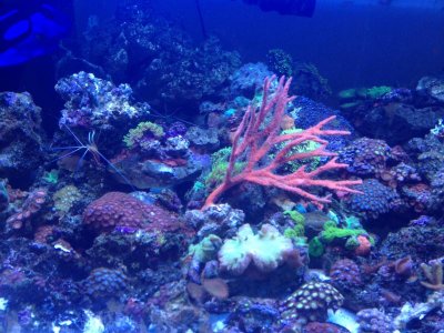photo (1).jpg